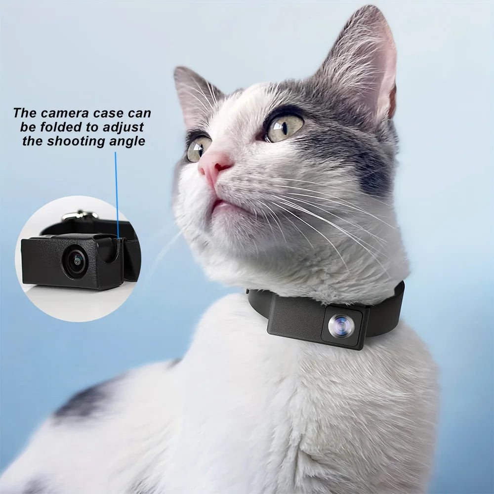 Câmara de Coleira HD 1080P para Cão e Gato | Vê o Mundo Pelos Olhos do Teu Pet